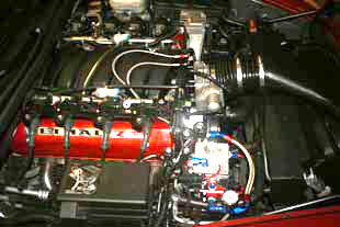 pic2